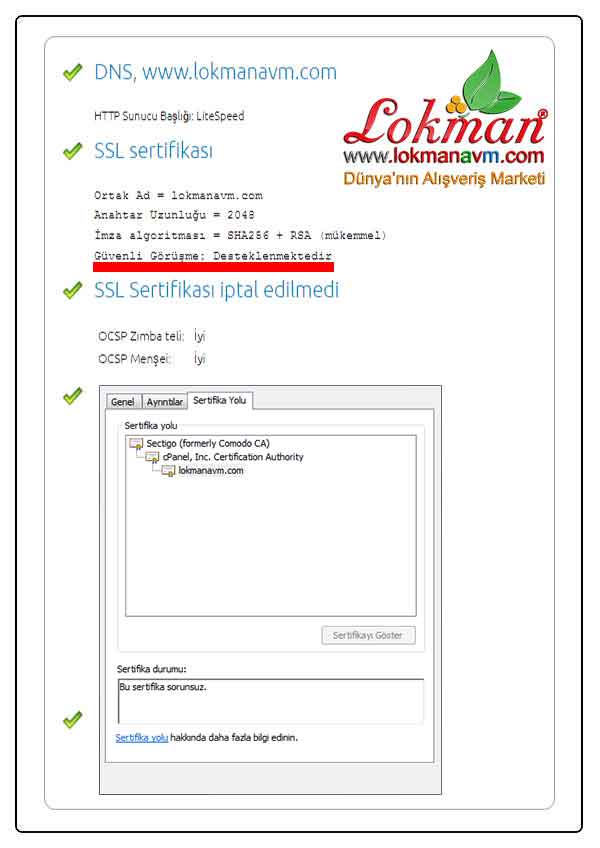 lokmanavm.live Rapid SSL Güvenlik Sertifikası lokmanavm.live Rapid SSL Güvenlik Sertifikası