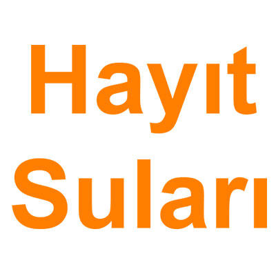 Hayıt Suları kategorisi ürünlerini inceleyin!