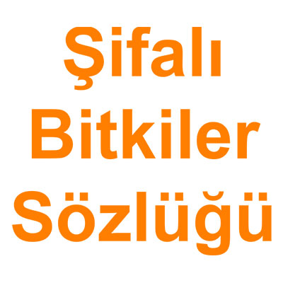 Şifalı Bitkiler Sözlüğü kategorisi ürünlerini inceleyin!