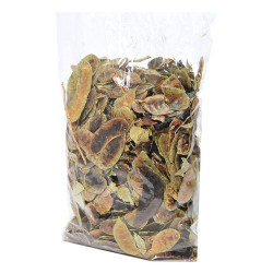Açlık Otu Erkek Sinameki Doğal 100 Gr Paket - 3