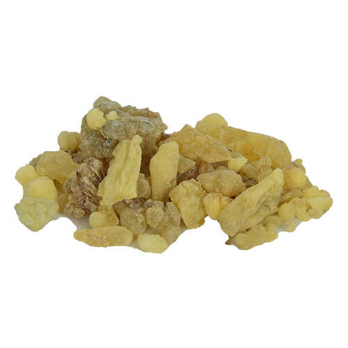 Ak Günlük Sakızı Doğal 100 Gr Paket - 1