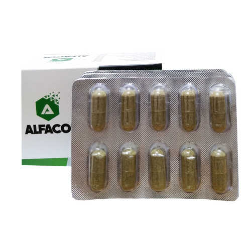 Chia Tohumlu 60 Kapsül - Food Supplement - 4