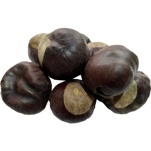 At Kestanesi Meyvesi Doğal 100 Gr Paket - 1