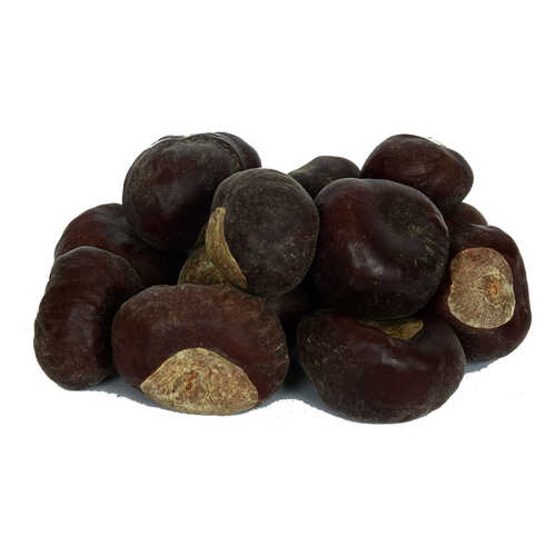 At Kestanesi Meyvesi Doğal 1000 Gr Paket - 1