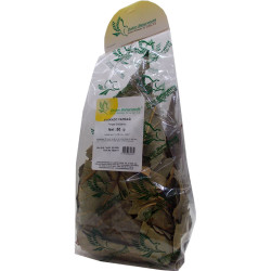 Avakado Yaprağı Doğal 50 Gr Paket (1)