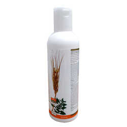 Buğday Özlü Saç Kremi 500 ML - 3