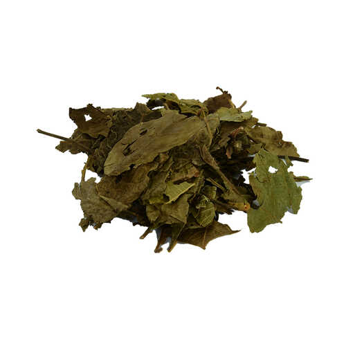 Ceviz Yaprağı Doğal 100 Gr Paket - 1