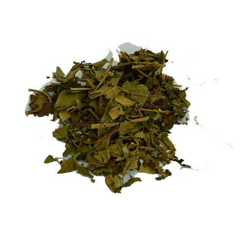Cinnema Gurmar Otu Gymnema Sylvestr 100 Gr Paket - 1