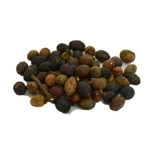 Defne Tohumu 100 Gr Paket - 1