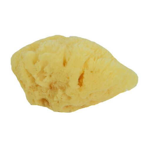 Deniz Süngeri Doğal 10 Gr Paket - 2