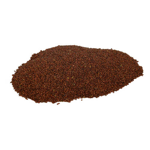 Doğal Tere Tohumu 100 Gr Paket - 1