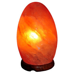 Elips Şekilli Doğal Himalaya Kaya Tuzu Lambası Kablolu Ampullü Pembe 2-3 Kg