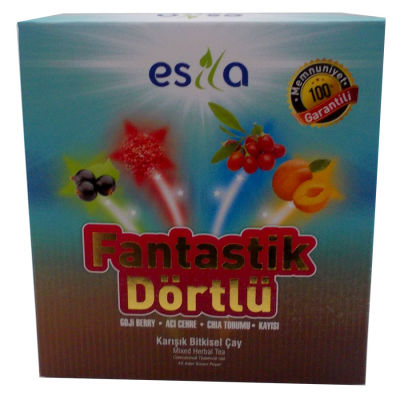 Fantastik Dörtlü Bitkisel Yaz Çayı 45 Süzen Poşet - 1