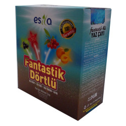 Fantastik Dörtlü Bitkisel Yaz Çayı 45 Süzen Poşet (1)
