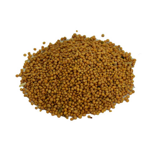 Hardal Tohumu Tane Doğal Sarı 100 Gr Paket - 1