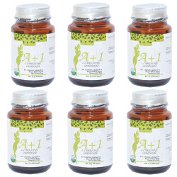 A1 L-Carnitine Lepidium Bitkisel 30 Kapsül X 6 Adet - 6