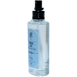 Ice Kolonya 80 Derece Cam Şişe Sprey 100 ML (1)