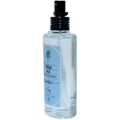 Ice Kolonya 80 Derece Cam Şişe Sprey 100 ML - 2
