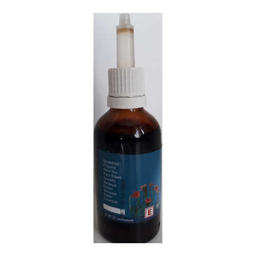 İmmumax Doğal Alkolsüz Bitkisel Ekstrakt Damla 50 ML - 2