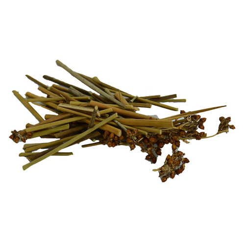 Kayışkıran Otu Doğal 100 Gr Paket - 1