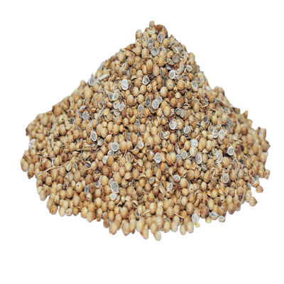 Kişniş Doğal Tane 1000 Gr Paket - 1