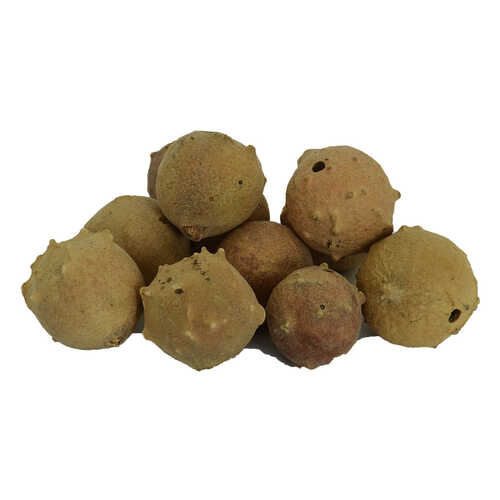 Mazı Meyve Kozalağı Doğal 100 Gr Paket - 1