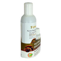 Reishi Mantarı Özlü Saç Güçlendirici Şampuan 500 ML - 3
