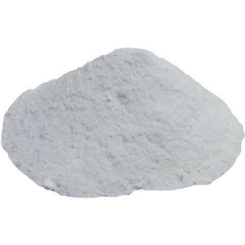 Salça Domates Turşu Koruyucu Toz Salisilik Asit 100 Gr Paket - 1