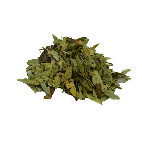 Sinameki Yaprağı Doğal 100 Gr Paket - 1