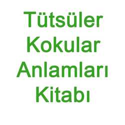 Tütsüler Kokular ve Anlamları - Tarık Demira - 2020