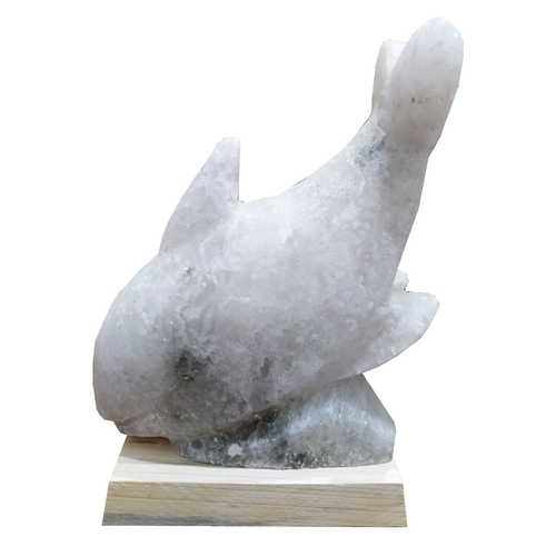 Yunus Balığı Şekilli Doğal Kaya Tuzu Lambası Çankırı Kablolu Ampüllü Beyaz 1-2 Kg - 1