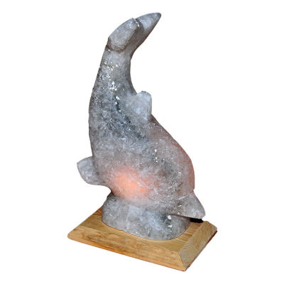 Yunus Balığı Şekilli Doğal Kaya Tuzu Lambası Çankırı Kablolu Ampullü Beyaz 2-3 Kg - 5